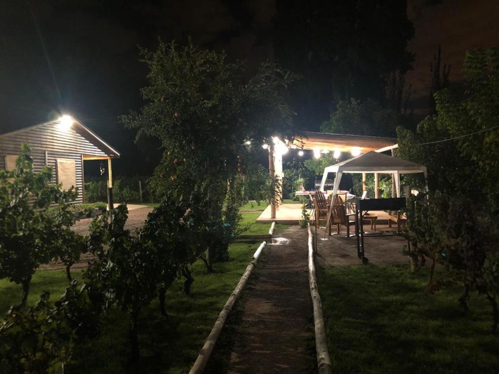 Entre Vinedos Apartment Lujan de Cuyo Ngoại thất bức ảnh