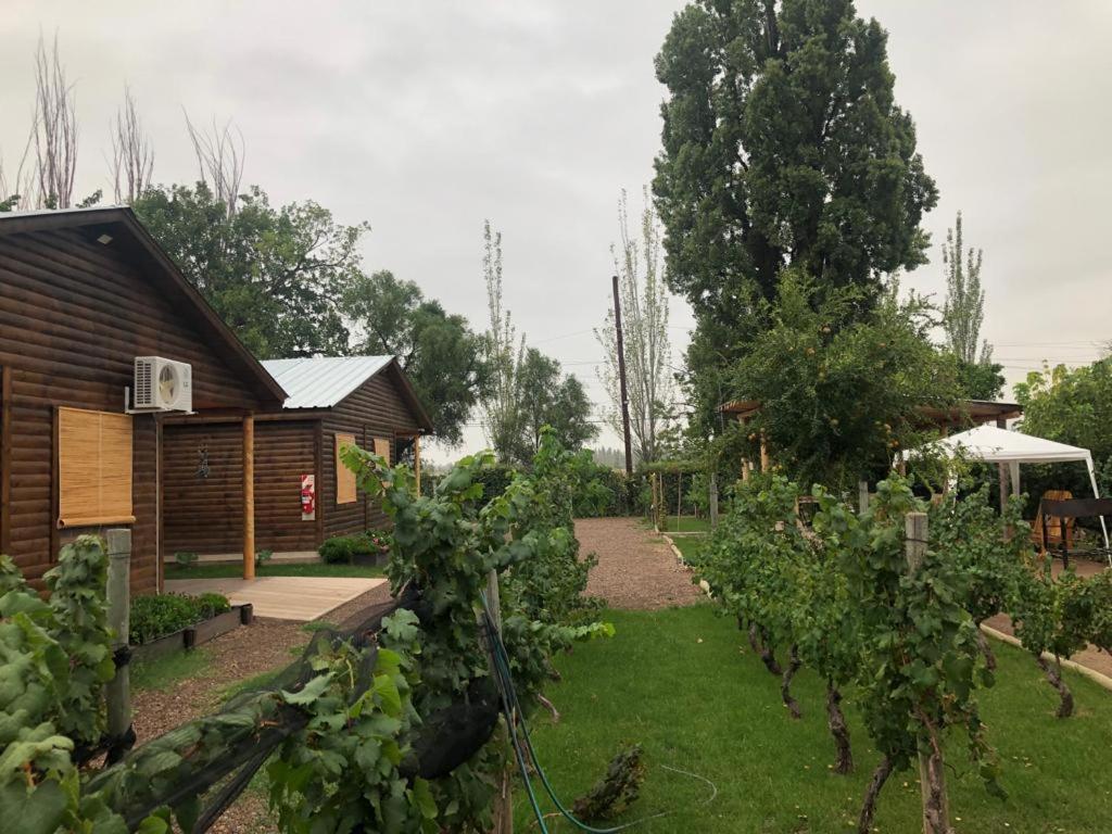 Entre Vinedos Apartment Lujan de Cuyo Ngoại thất bức ảnh